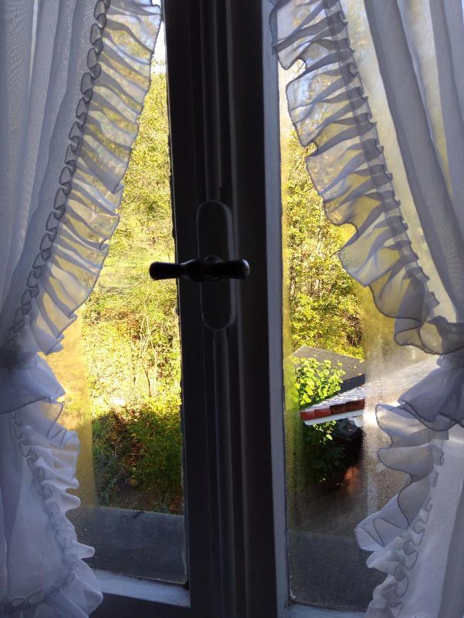 Schmoekermuehle Bed & Breakfast Andernach Bagian luar foto