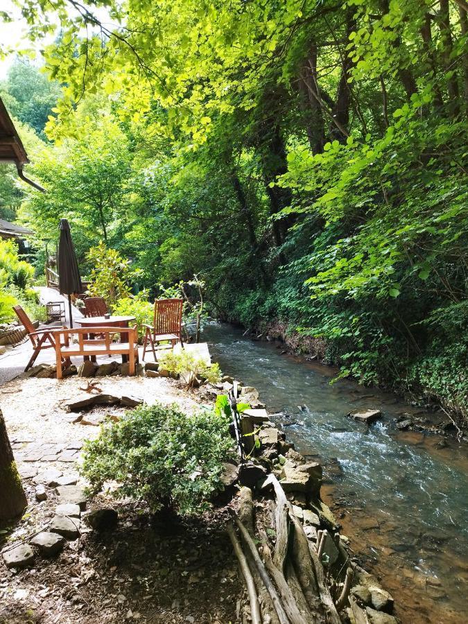 Schmoekermuehle Bed & Breakfast Andernach Bagian luar foto