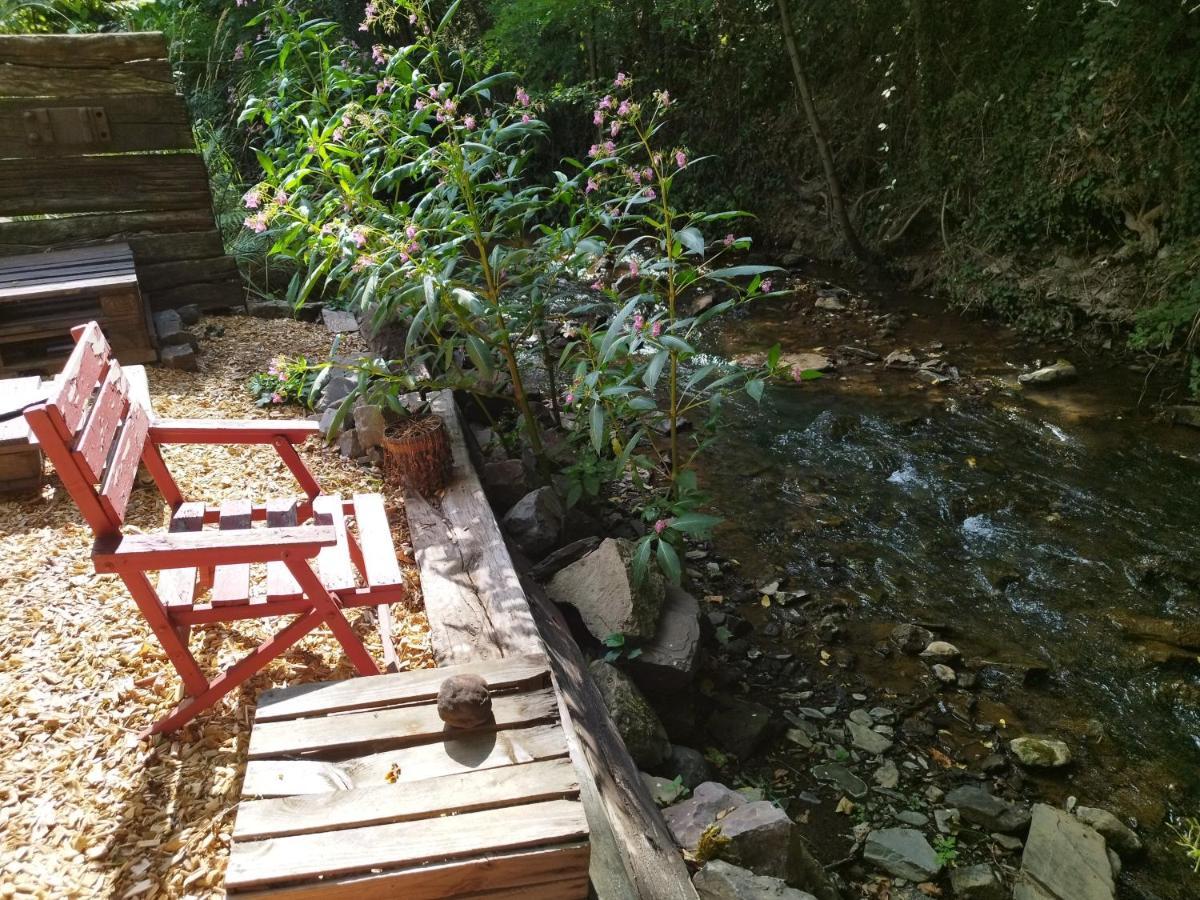 Schmoekermuehle Bed & Breakfast Andernach Bagian luar foto